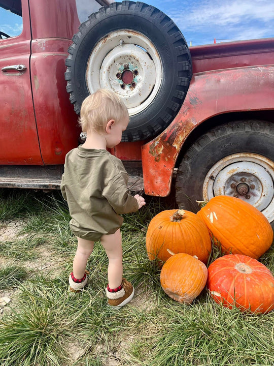 Pine Fall Basics Bubble