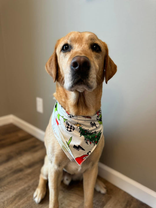 Mean One Pet Bandana